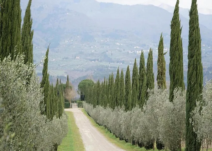 Il Palagio, Rignano Sull